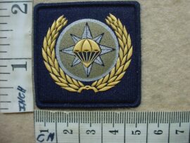 6314 South African Air Force Life Support/Parachute Maintenance badge (DW1 56 30)