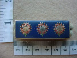 11060 Northern Transvaal Command higher formation bar (DW1 6 24)
