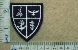3019 South African Defence Force tracksuit badge, smaller size (DW1 6 2)