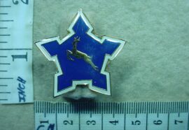 6488 South African Air Force lapel badge (DW1 61)