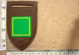 5429 South African Army Citizen Force Command CS2 Intelligence company arm flash (DW1 47 76)