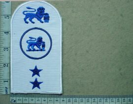3137 South African Navy Police Instructor trade badge (DW1 70 17)
