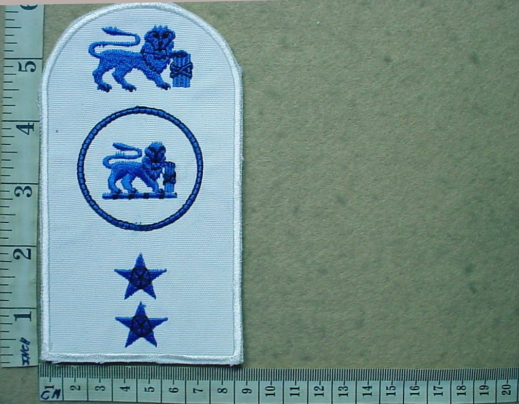 3137 South African Navy Police Instructor trade badge (DW1 70 17)
