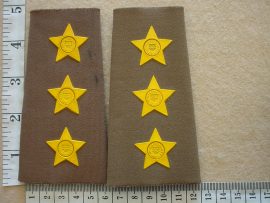 8501 Army Captain rank epaulettes (DW1 76 12)