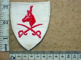10231 South African Army Advanced Physical Training Instructor tracksuit badge (DW1 9 35)