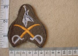 10233 South African Army Advanced Physical Training Instructor badge (DW1 9 36)