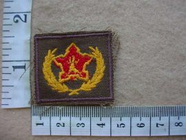 7182 South African Army Volunteer Service Award (DW1 29 15)