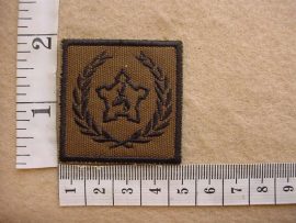 10306 South African Army Volunteer Service Award breast badge (DW1 29 17)