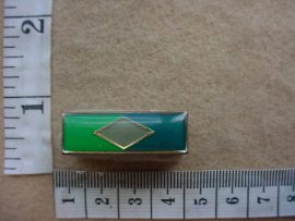 4860 SWA Signals beret flash (DW1 5 58)