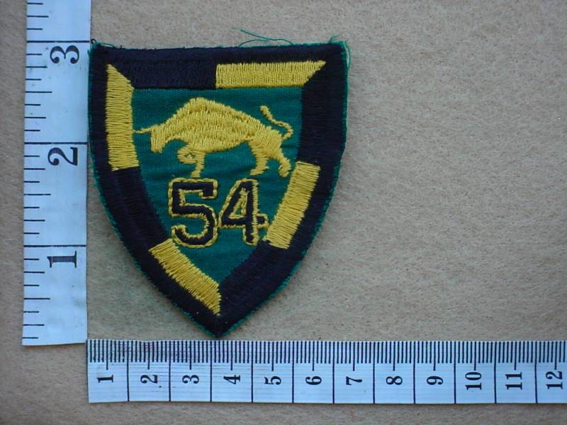3005 SWA 54 Battalion arm flash (Ref. DW1 54 14)
