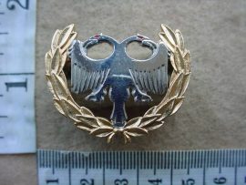 6088 SA Air Force Security breast badge (Ref. DW1 56 8)