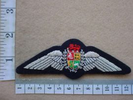 6981 SA Air Force Pilots wings (DW1 58 13)
