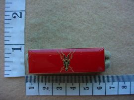 2916 Chief of the Army higher formation bar (DW1 6 12)