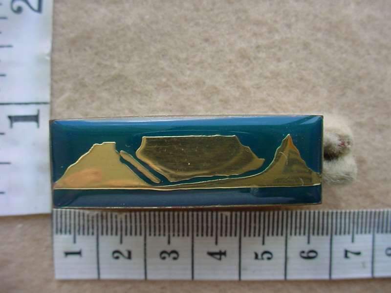 10916 Western Province Command higher formation bar (DW1 6 22)