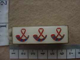 2919 Orange Free State Command higher formation bar (DW1 6 23)