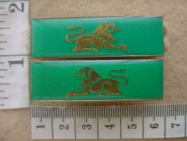 3019 Eastern Transvaal Command higher formation bars (Ref. DW1 6 29)