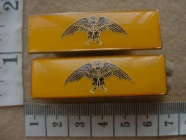 11068 Gauteng Command higher formation bars (Ref. DW1 6 32)