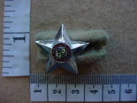 6510 SA Army Officers rank star (DW1 75 17)