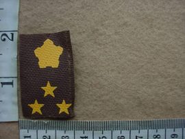 7030 SA Army Brigadier rank badge (DW1 77 16)