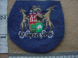 6983 SA Air Force Sergeant Major Class II rank badge (Ref. DW1 77 21)