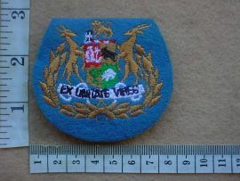 10832 SA Air Force Regimental Sergeant Major rank badge (Ref. DW1 77 22)