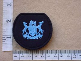 9206 SA Air Force Sergeant Major Class 2 rank badge (DW1 77 25)