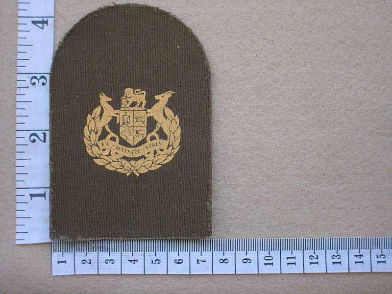 3602 South African Marines Warrant Officer Class 1 rank badge (DW1 78 10)
