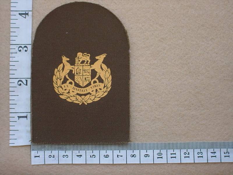 3603 South African Marines Warrant Officer Class 1 rank badge (DW1 78 10)