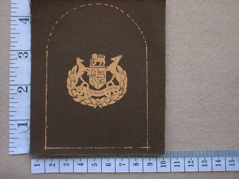 3604 South African Marines Warrant Officer Class 1 rank badge (DW1 78 10)