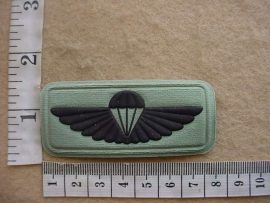 10933 South African Army Air Dispatcher Instructor wings, S2000 camo dress (DW1 9 34/C312)