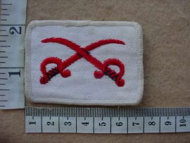 10937 South African Army Physical Training Instructor tracksuit badge (DW1 9 35)