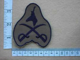 2956 South African Army Advanced Physical Training Instructor, PTI (DW1 9 36)