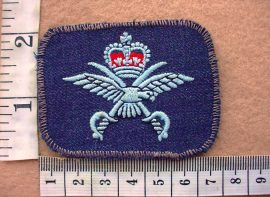 10124 Royal Rhodesia Air Force Physical Training Instructor trade badge (DW2 300)