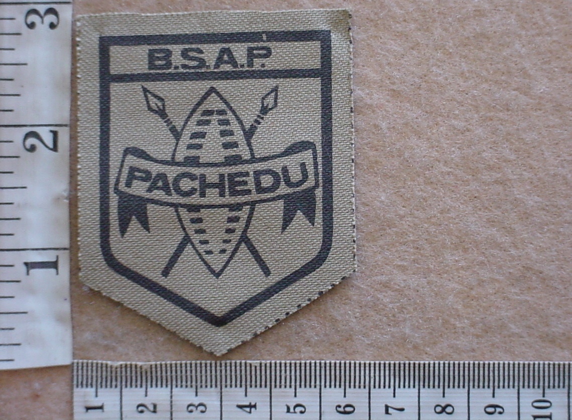 1696 BSA Police Special Branch Project Section pseudo group arm patch (DW2 43)