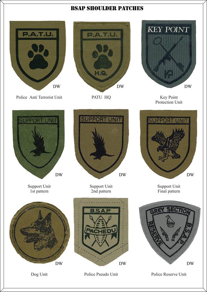 1696 BSA Police Special Branch Project Section pseudo group arm patch (DW2 43) - Image 3