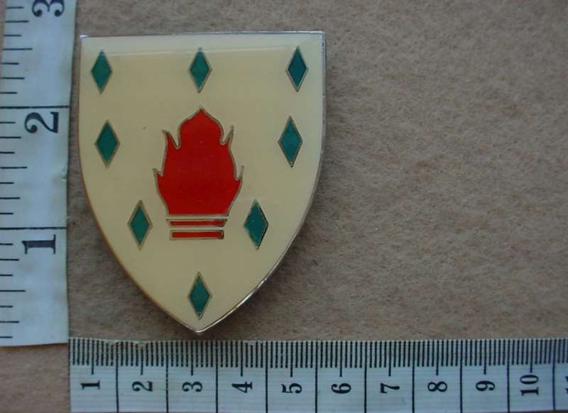 3193 1 Special Training Unit arm flash (Ref. Els C18)
