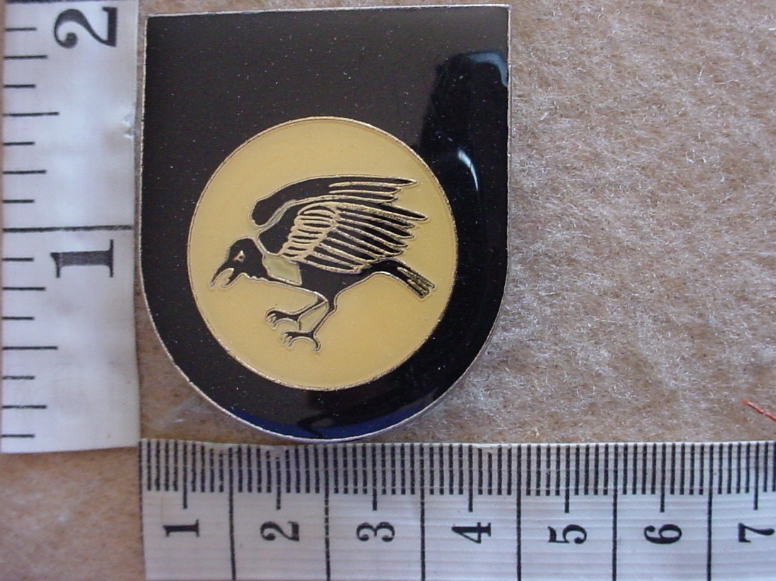 6019 South West African 201 Battalion pocket flash (F1063)
