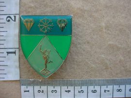 6031 SWA 1 Signal Regiment pocket flash (F1077)