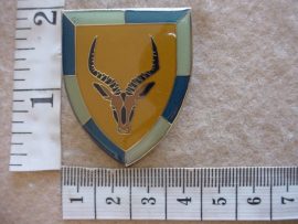 6024 South West Africa 102 Battalion pocket flash (F1084)