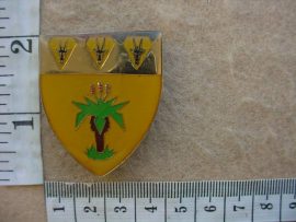 6047 SWA Sector 40 Headquarters pocket flash (F1097)