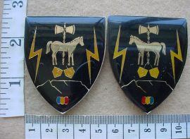 7590 30 Field Workshop arm flashes, 1st pattern (F1137-F1138)