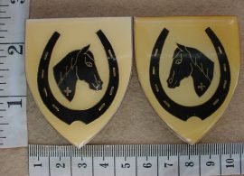2168 Equestrian Centre arm flashes (F1141)