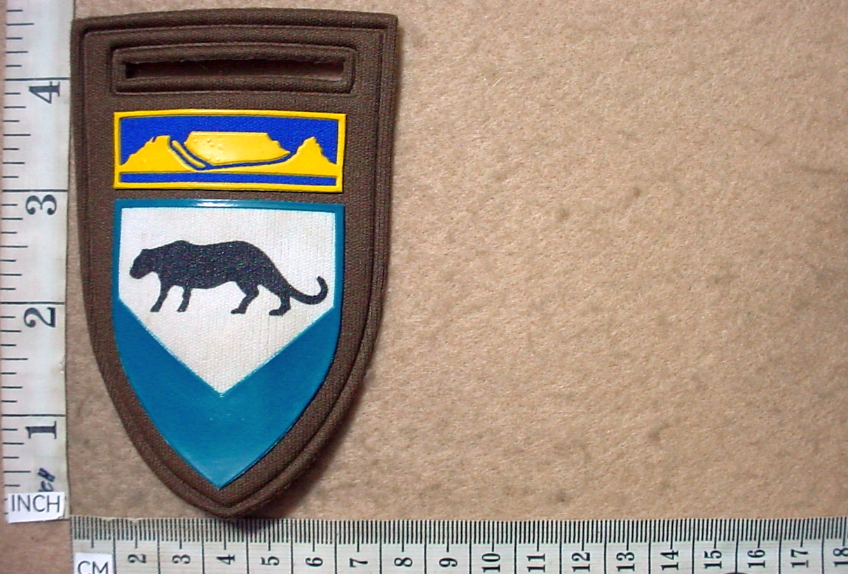 2859 Group 40 Headquarters arm flash, Western Cape Command balkie (F1155)