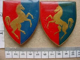 5565 Technical Service Corps Training Centre arm flashes (F261-262)