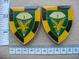 9213 1 Para Bn arm flashes (F28 and F29)