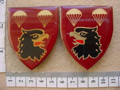 10960 South African 2 Parachute Battalion arm flashes, pair (F3-F4)