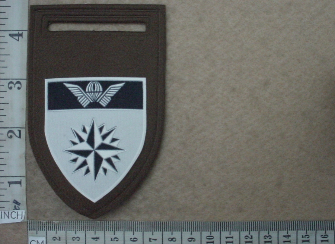11001 5 Reconnaissance Commando arm flash (F35)