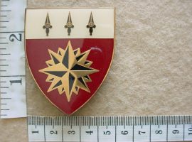 11007 South African 1 Special Forces Regiment arm flash (F36)