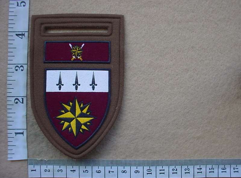5300 South African 1 Special Forces Regiment arm flash (F36)