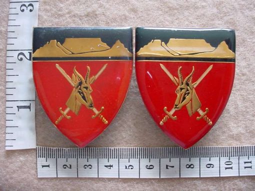 5624 Western Province Command arm flashes (F405 and F406)
